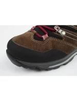 Boty Aku Alterra Gore-tex M 403313