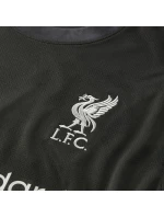 Nike Liverpool FC Stadium Away Shirt 2024/25 FN8780-322