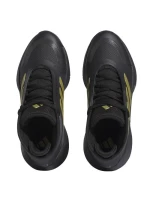 Basketbalová obuv adidas Bounce Legends M IE9278