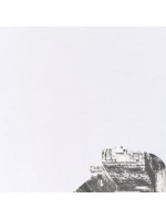 Tričko 4F M 4FWAW25TTSHM3132 10S pánské