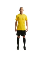 Pánské tričko Nike Dri-Fit Park 26 SS Top yellow HM7127 719 pánské