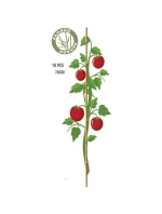 BAMBUSOVÁ TYČ NA PODPORU ROSTLIN 78 CM 10KS PROGARDEN