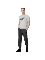 Pánské tričko M H4Z22 TSM353 27M - 4F