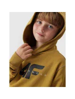 Mikina 4F Jr 4FJAW23TSWSM628-74S