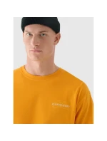 Pánské tričko oversize s potiskem 4F 4FRAW24TTSHM2578-70S