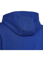 Dětská mikina Big Logo Essentials Hoody Jr HN1912 - Adidas Dětská mikina Big Logo Essentials Hoody Jr HN1912 - Adidas