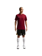 Nike Dri-Fit Park VIII pánské tričko bordó HV8173 677 pánské