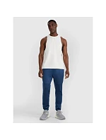 Pánské rychleschnoucí tréninkové kalhoty 4F 4FWAW25TFTRM0888-27S