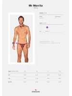 Pánský set Mr Merrilo thong + motýlek - Obsessive