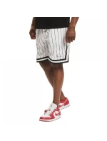 Karl Kani Small Signature Pinstripe Mesh Shorts M 6014921 Karl Kani Small Signature Pinstripe Mesh Shorts M 6014921