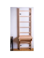 DŘEVĚNÝ ŽEBŘÍK PRO BENCHK BT204 PULL-UP BAR