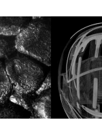 Sportovní pokrývky hlavy Růžová PC108751001LRG1