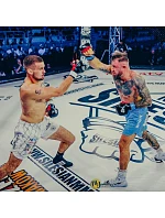 Rukavice pro MMA sparring L/XL – Phantom Red – řada Valor | DBX Bushido Rukavice pro MMA sparring L/XL – Phantom Red – řada Valor | DBX Bushido