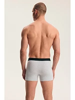Pánské boxerky FADE, balení po 2 kusech, 45473 AW26 Pánské boxerky FADE, balení po 2 kusech, 45473 AW26