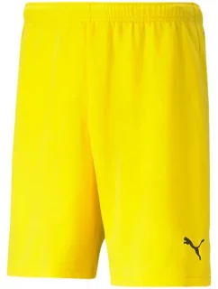 Pánské šortky teamRISE Cyber M 704942 07 - Puma