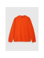 Pánská mikina s kapucí 4F 4FRSS25TSWSM2179-70S pánské