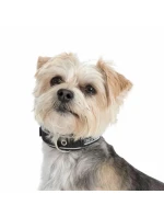 Trespass obojek pro psy