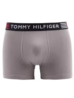 Flex Trunk UM0UM02411-PTM - Tommy Hilfiger
