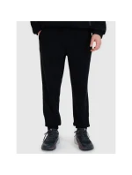 Pánské tepláky typu jogger 4F 4FRSS25TTROM1476-20S