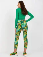 Tepláky RV DR 7956.31 zelených