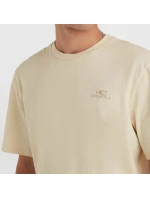 O'Neill Small Logo T-Shirt M 92800613999
