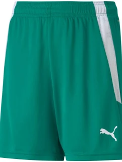 Puma teamLIGA Shorts Jr 704931 05