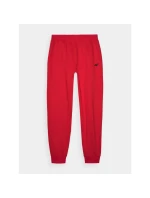 Teplákové kalhoty 4F M 4FWMM00TTROM0943-70S