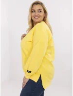 RV BZ mikina A599.82 žlutá