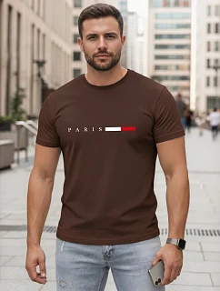 Pánské bavlněné tričko s nápisem PARIS, hnědé, FashionStreet NX5139R