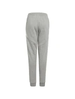 Kalhoty adidas Tiro 24 Sweat Jr IS1009