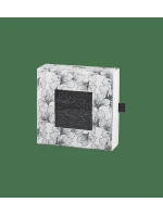 Accessories Socks 2 Pack Sheer - UNKNOWN - TRIUMPH UNKNOWN - TRIUMPH