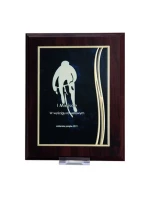 Plastový diplom s vyrytou kovovou destičkou