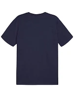 Puma Team Goal Casuals Tee M 658615 06 pánské