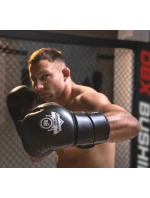 Boxerské rukavice 10oz - Eclipse - Origin Series