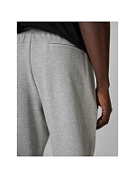 Pánské tepláky typu jogger 4F 4FRMM00TTROM2020-27M