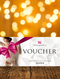 Dárkový šek 1000,- Kč