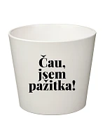 ČAU, JSEM PAŽITKA! - velký květináč 