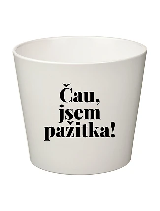 ČAU, JSEM PAŽITKA! - velký květináč 