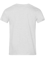 Promodoro 3099 (XS-6XL) Pánské tričko "Premium" 40.3099 ash
