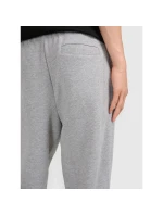 Pánské tepláky typu jogger 4F 4FRMM00TTROM1624-27M