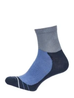 Pánské ponožky ACTIVE 0224.008