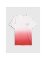 Pánské tričko s potiskem 4F 4FRAW25TTSHM3226-62S