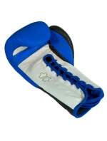 Boxerské rukavice DSF 10 oz se šněrováním 01DSF-02 - Masters