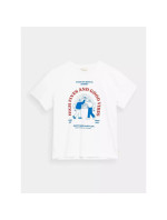 Outhorn t-shirt M OTHSS23TTSHM450-10S pánské