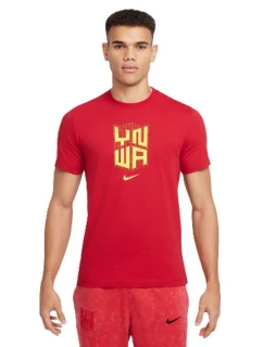 Tričko Nike Liverpool FC M HJ4268-687 pánské