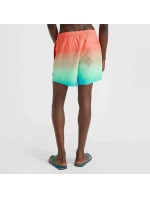 Plavecké šortky O'Neill Jack Cali Gradient 15'' M 92800613575