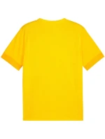 Puma teamGoal Matchday Jersey M 705747 07 pánské