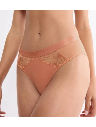 Wild Azalea Florale Tai - Apricot Brandy - TRIUMPH Apricot Brandy - TRIUMPH