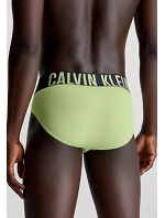 Pánské spodní prádlo HIP BRIEF 3PK 000NB3607AOG5 - Calvin Klein