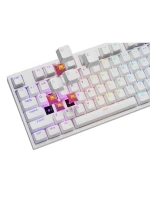 GENESIS NKG-2300 klávesnice univerzální USB QWERTY čeština bílá